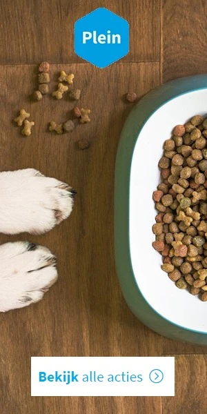 Purina One Junior Pouch - Kattenvoer - Kip Zalm 8x85 g - Noorse Boskat - Pets Place