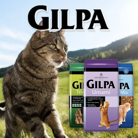 Gilpa kattenvoer