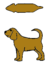 Overgewicht hond