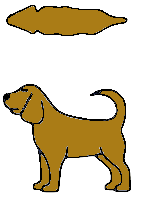 Ideaal gewicht hond