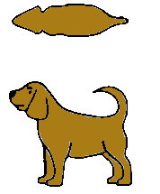 Zwaar lijvige hond