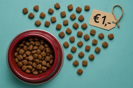 Goedkoop hondenvoer in NL