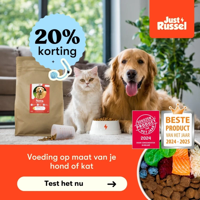 Justrussel