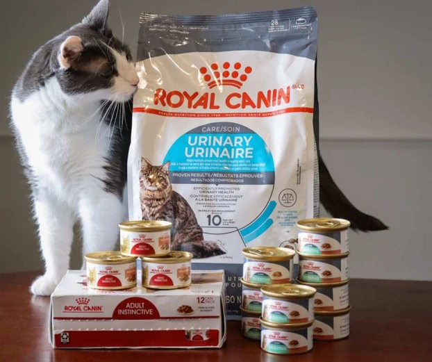Royal Canin gejatte foto