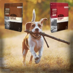 acana hond foto 4