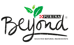 Beyond Logo