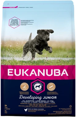 Eukanuba Junior Grote Rassen 3 kg zak hondenvoer