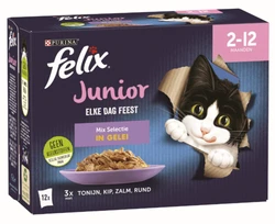 Felix Elke Dag Feest Junior Mix Selectie in Gelei 12 x 85 gr
