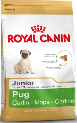 Royal Canin Mopshond/Pug Junior- Hondenvoer - 1,5 kg