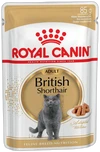 Royal Canin British Shorthair Adult Natvoer 12x85