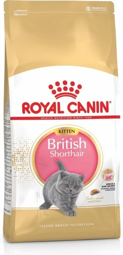 Royal Canin British Shorthair Kitten - Kattenvoer - 10 kg