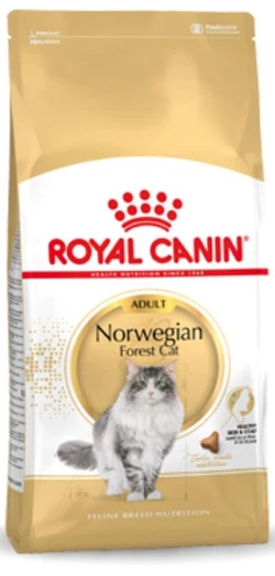 Royal Canin Norwegian Forest Cat Adult - Kattenvoer - 10 kg