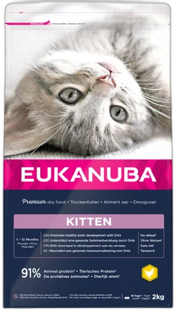 Eukanuba Kitten Healthy Start - 2kg