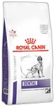 Royal Canin Dental Hond