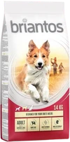 Briantos Adult Chicken & Rice 14kg Hondenvoer Verpakking