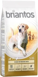 Briantos Adult Maxi 1 kg Hondenvoer Verpakking Briantos Adult Maxi 1 kg Hondenvoer Verpakking