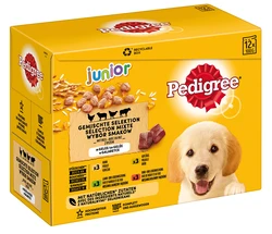 Pedigree