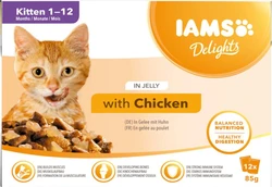 Iams Delights Pouch Multipack Kitten Chicken Jelly 12 x 85 gr