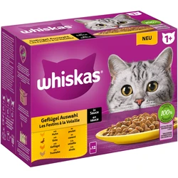 Whiskas Maaltijdzakjes 1+ Gevogelte Selectie in Gelei 12 x 85g