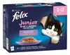 Felix Elke Dag Feest Junior Mix Selectie in Gelei 24x100g