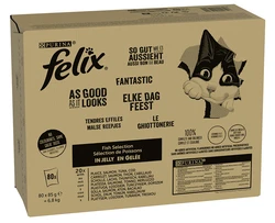 Felix Elke Dag Feest Vis Selectie in Gelei 80 x 85g