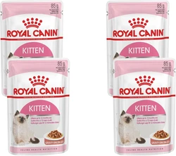Royal Canin - Kitten Gravy Kattenvoer Nat - 48 x 85 gr