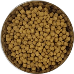 Yourdog Dwerg- of Toypoedel Volwassen 12 kg Yourdog Dwerg- of Toypoedel Volwassen 12 kg