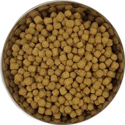Yourdog Dwerg- of Toypoedel Volwassen 12 kg