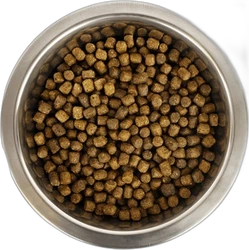 Yourdog Dwerg- of Toypoedel Pup 12 kg Yourdog Dwerg- of Toypoedel Pup 12 kg