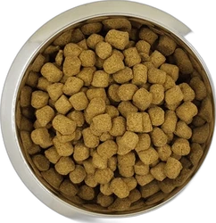 Yourdog Koningspoedel Volwassen 12 kg