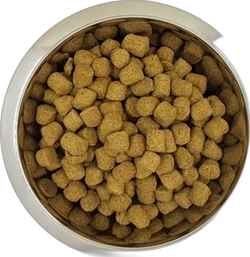 Yourdog Koningspoedel Volwassen 12 kg