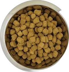 Yourdog Koningspoedel Senior 12 kg