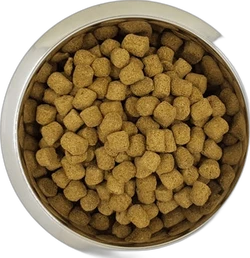 Yourdog Koningspoedel Senior 12 kg