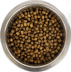 Yourdog Koningspoedel Pup 12 kg