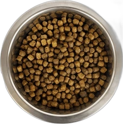 Yourdog Koningspoedel Pup 12 kg