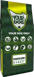 Yourdog Pharaoh Hond Pup 12 kg