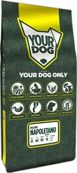 Yourdog Mastino Napoletano Senior 12 kg