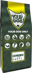 Yourdog Leeuwhondje Volwassen 12 kg