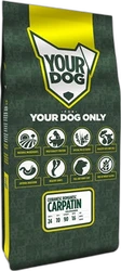 Yourdog Ciobanesc Romanesc Carpatin Volwassen 12 kg